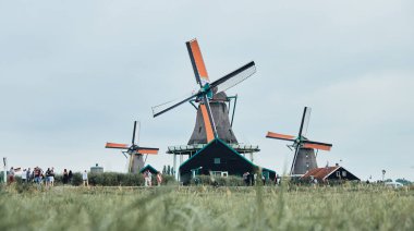 Hollanda 'nın Zaanse Schans köyündeki yel değirmenlerinin manzarası