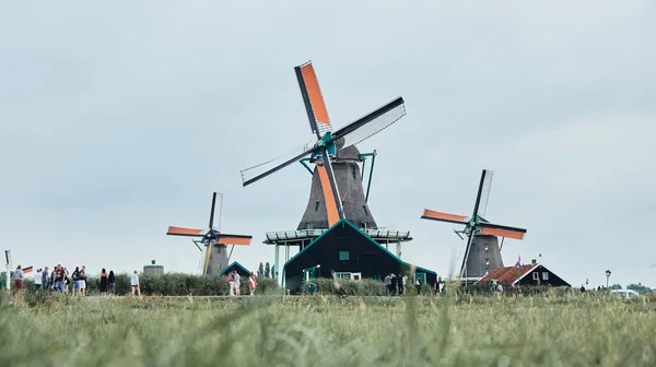 Krajobraz Wiatraków Wsi Zaanse Schans Holandia — Zdjęcie stockowe