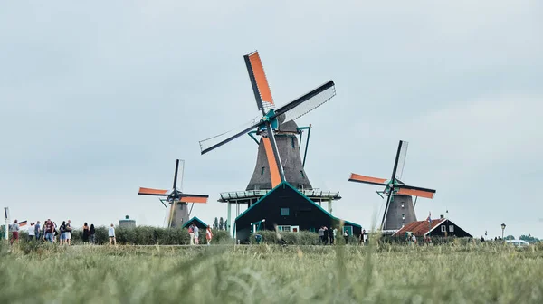 Hollanda 'nın Zaanse Schans köyündeki yel değirmenlerinin manzarası