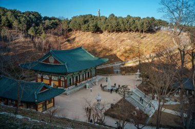 Naksansa Tapınağı 'nın yüksek manzarası, Güney Kore, fayanslı çadırlar, kış ağaçları ve ötesinde Doğu Denizi. Yumuşak öğleden sonra ışığında patikalar sessiz bir avludan geçiyor..