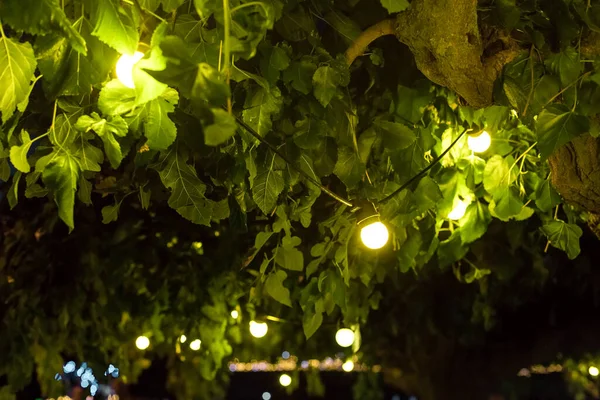 Lâmpadas Brilhando Com Luz Quente Suspenso Galhos Árvores Entre Folhas — Fotografia de Stock