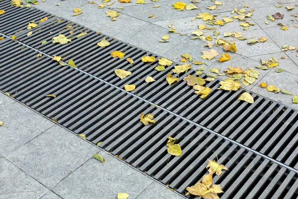 Grating Drainage Storm System Pedestrian Par — Stock Photo, Image