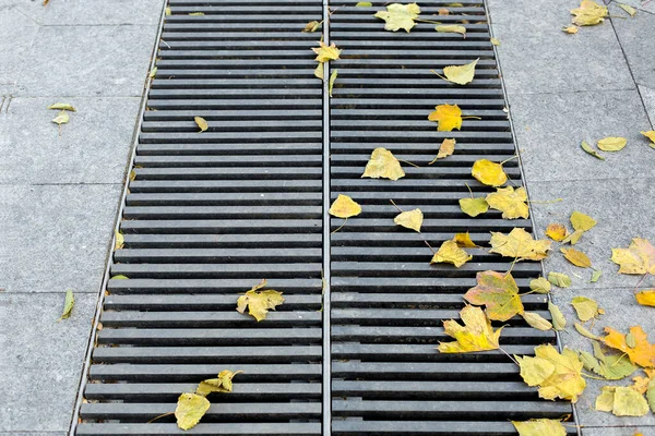 Grating Drainage Storm System Pedestrian Par — Stock Photo, Image