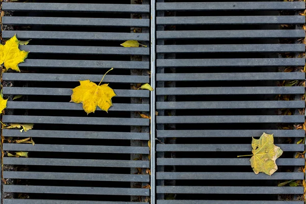 Grating Drainage Storm System Pedestrian Par — Stock Photo, Image