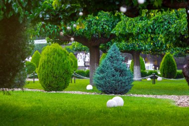 Baharda yeşil çimlerin üzerinde beyaz bir top feneri olan ağaçların ve çalıların yeşilliğiyle bir şehir parkının manzarası, hiç kimse.