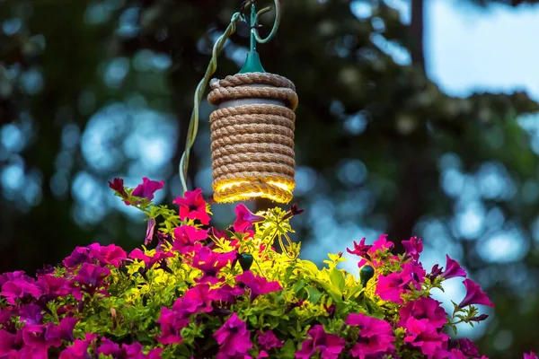 Διακοσμητικό Φανάρι Για Φωτισμό Κρεμαστά Γλάστρες Λουλούδια Πετούνια Στον Κήπο — Φωτογραφία Αρχείου