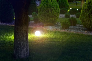 Elektrikli lambayla parlayan ve önündeki yeşil çimlerin üzerinde top yayıcı bulunan bahçe feneri manzaralı bir park sahnesinde bir ağaç gövdesinin silüeti, hiç kimse.