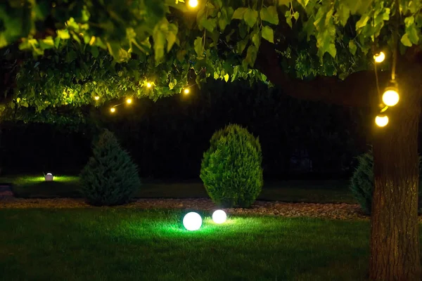 illumination park light garden with electric ground ball lantern with stone mulch and thuja bushes in outdoor landscaped park with garland of warm light bulbs, illuminate evening scene nobody.