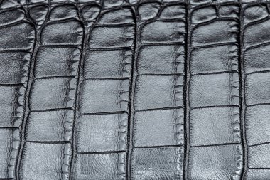 Tasarım ve dekorasyon için arka planda koyu timsah derisinden oluşan kare desenli siyah deri doku, hiç kimse.