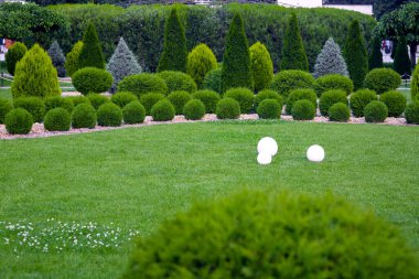 Arka bahçesinde 3 ışıklandırma bahçesi, elektrikli zemin fenerleri, serpinti lambaları açık hava parkında çimenlik alanda fotokopi alanı, sera çalıları, kaya samanlığında kimse yok..