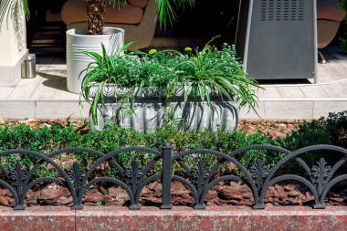 Çalı ve ağaçlarla süslenmiş bir manzara yatağında çiçekli taş bir saksı. Ağaç kabuğu serpiştirilmiş. Yazlık evin arka bahçesinde siyah demir çitlerle kaplı..