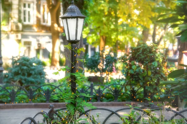 iron ground lantern of street lighting wrapped in warm glow garland in backyard garden with plants and trees in hazy haze blurry background, nobody.