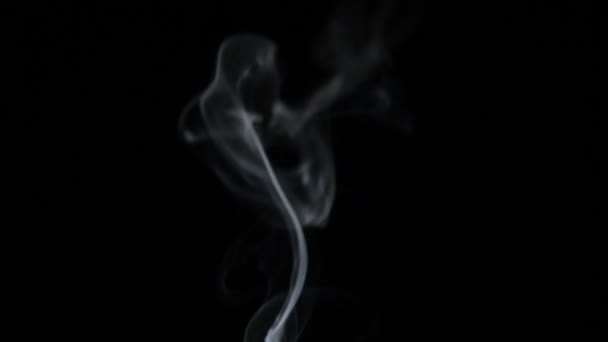 Stijgende Trekjes Witte Rook Geïsoleerd Zwarte Achtergrond Met Kopieerruimte — Stockvideo