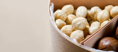 Fındıklı ahşap kutuda farklı fındıklı vejetaryen yiyecekler sağlıklı protein besinleri için yakın plan, hiç kimse.