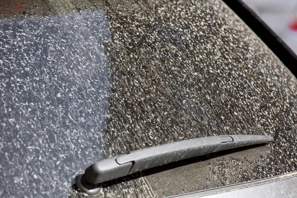 Zadní Okno Špinavého Auta Stěračem Pokrytým Vrstvou Suchého Prachu Kapek — Stock fotografie
