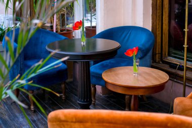 Yumuşak mavi sandalyeli açık bir kafenin terası pencere kenarındaki ahşap zeminde yuvarlak siyah bir masa ve vazolarda ve gözlüklerde lale olan bitkiler, hiç kimse..