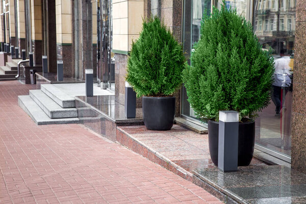 пешеходная дорожка из каменной плитки вдоль здания с порогами и ступенями с входами в магазины, облицованные гранитом с декоративными уличными фонарями с горшками с кустами туи, никто.