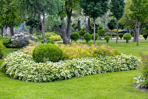 木々や誰もいない公園を背景に 春に裏庭の装飾のための植物と庭を造園葉に囲まれた茂みや花の花壇 — ストック写真