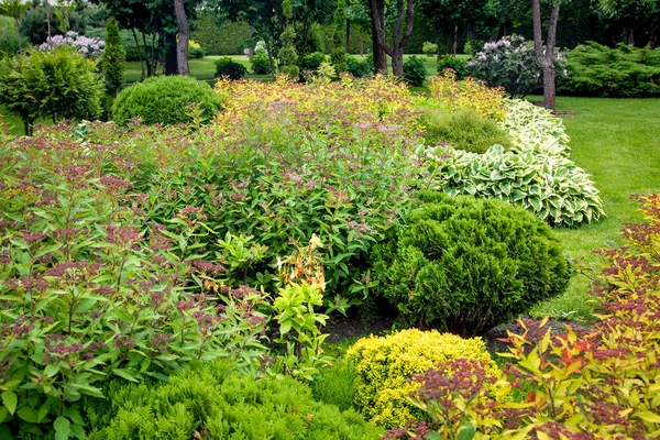 裏庭の装飾のための植物と茂みや花の造園を持つ庭のベッド夏の季節に背景に木と公園 — ストック写真