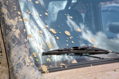 Kirli araba, kirli cam, kuru çamur lekeleri, aracın ön tarafı, pencerenin önü ve bıçak sileceği..