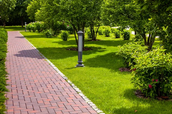 Pavimento Baldosas Piedra Recta Parque Ajardinado Con Hierba Verde Arbustos — Foto de Stock