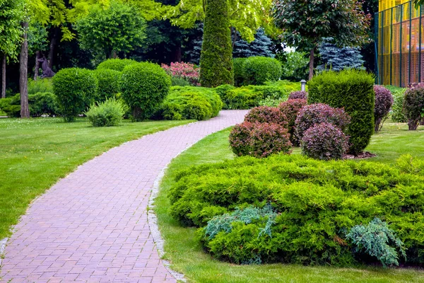 Fußweg Aus Steinplatten Park Mit Landschaftsgestaltung Und Grünen Pflanzen Sträucher — Stockfoto