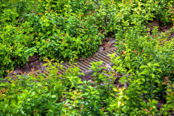 drainage grid in the landscape for the drainage of rainwater in the deciduous garden bed with tree bark mulching in the backyard garden.