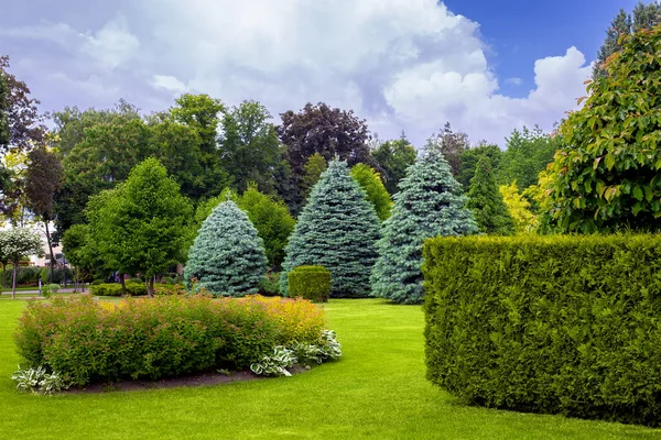 Landscaping Park Garden Bed Deciduous Trees Leaves Pine Needles Green — Stock Photo, Image