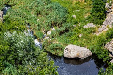 Kayalar ve kamış yapraklarıyla dağlar arasında kaynayan nehir bir yaz günü güneş ışığıyla aydınlatılır. Turizm ve açık hava aktivitelerinin doğası böyledir..