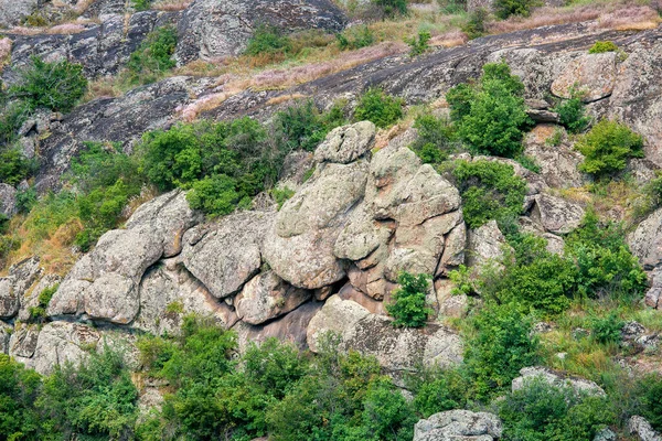 Přírodní Krajina Kaňonu Žulovými Figurami Mezi Trávou Stromy Slunečného Letního — Stock fotografie