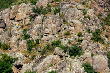 Güneşli bir yaz gününde çimenlerin ve ağaçların arasında granit figürlerle dolu kanyonun doğal manzarası, dağlık yamaçların taşları aşırı turizm ve kaya tırmanışı için bir yer, hiç kimse.