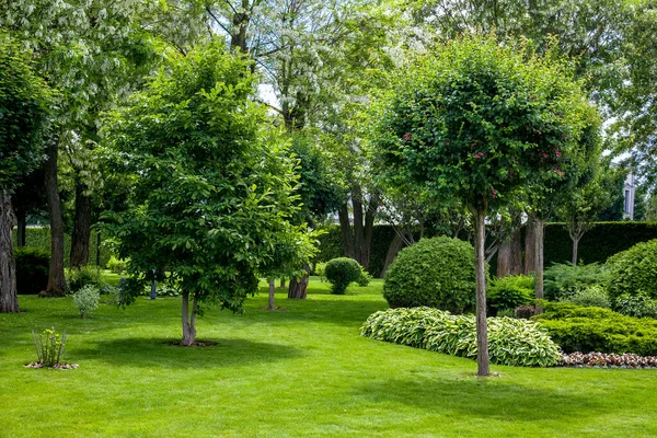 Cuidado Parque Con Plantas Verdes Césped Verde Con Macizo Flores — Foto de Stock