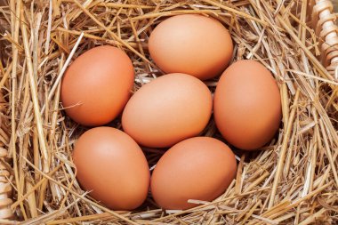 Saman ile sepet içinde koyulur yumurta.