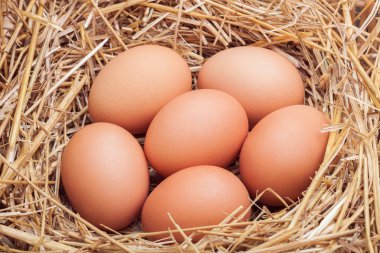 Saman ile sepet içinde koyulur yumurta.