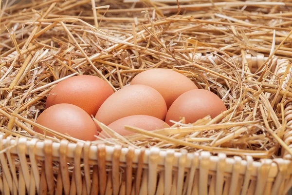 The eggs which are laid out in a basket with hay. — Stock Photo, Image