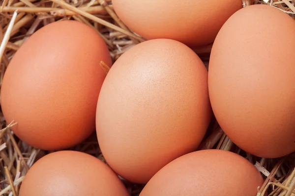 The eggs which are laid out in a basket with hay. — Stock Photo, Image