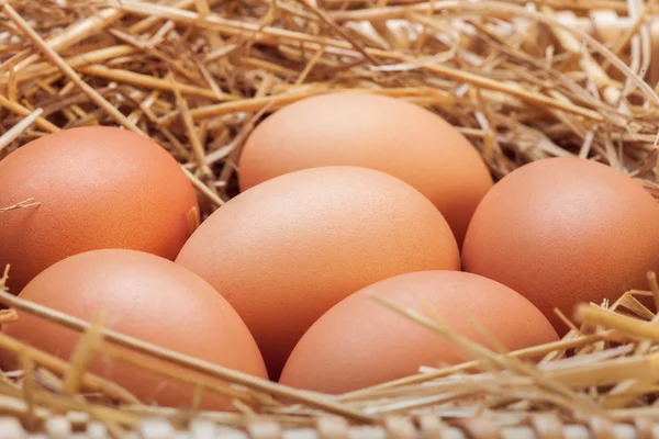 De eieren die zijn neergelegd in een mand met hooi. — Stockfoto