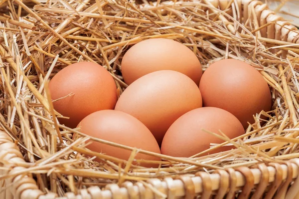 The eggs which are laid out in a basket with hay. — Stock Photo, Image