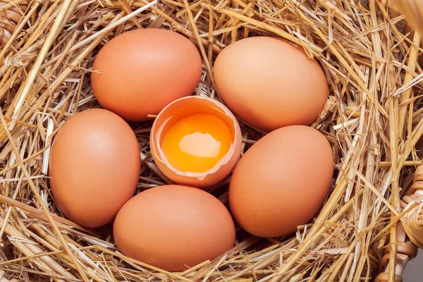 The eggs which are laid out in a basket with hay. — Stock Photo, Image