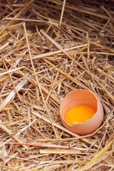 The eggs which are laid out in a basket with hay. — Stock Photo, Image