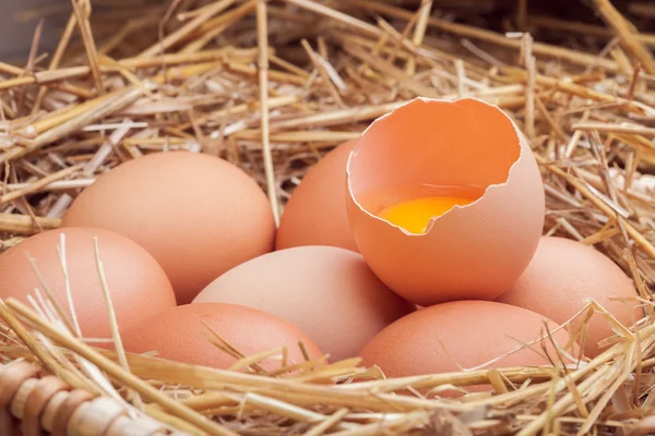 The eggs which are laid out in a basket with hay. — Stock Photo, Image