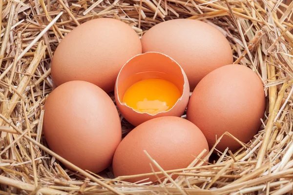 De eieren die zijn neergelegd in een mand met hooi. — Stockfoto