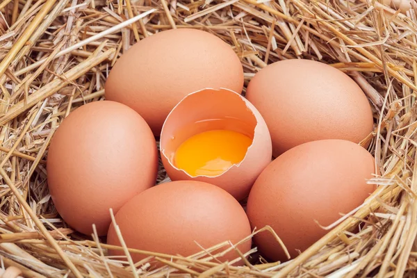 The eggs which are laid out in a basket with hay. — Stock Photo, Image