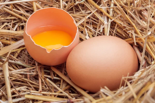 The eggs which are laid out in a basket with hay. — Stock Photo, Image