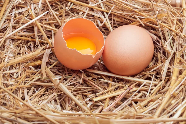 The eggs which are laid out in a basket with hay. — Stock Photo, Image