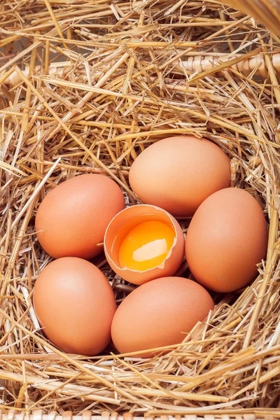Яйца, которые откладываются в корзине с сеном . Стоковая Картинка