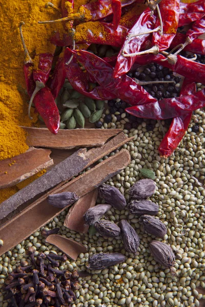 Full frame of various spices — Stock Photo, Image