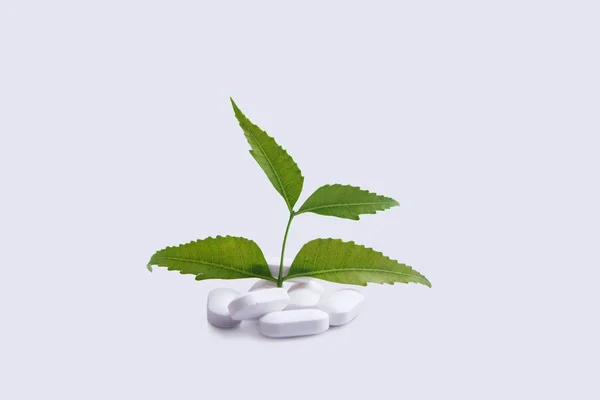 Pillen gemaakt van medicinale neem — Stockfoto
