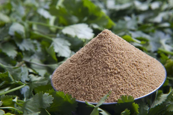 Powder in a bowl and coriander leaves — Stock Photo, Image