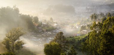 Misty morning in Ooty, Tamilnadu, India clipart